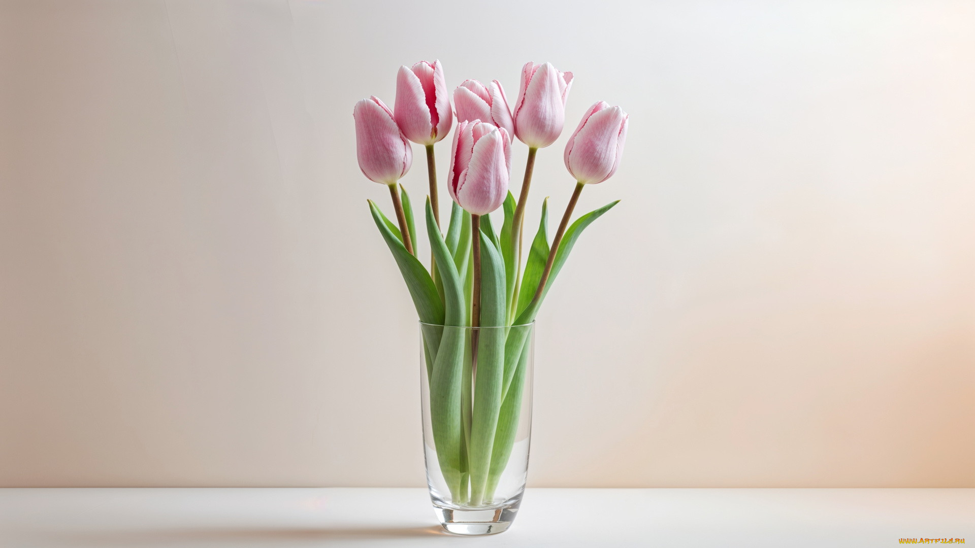 3 ,  , flowers, , , , , 